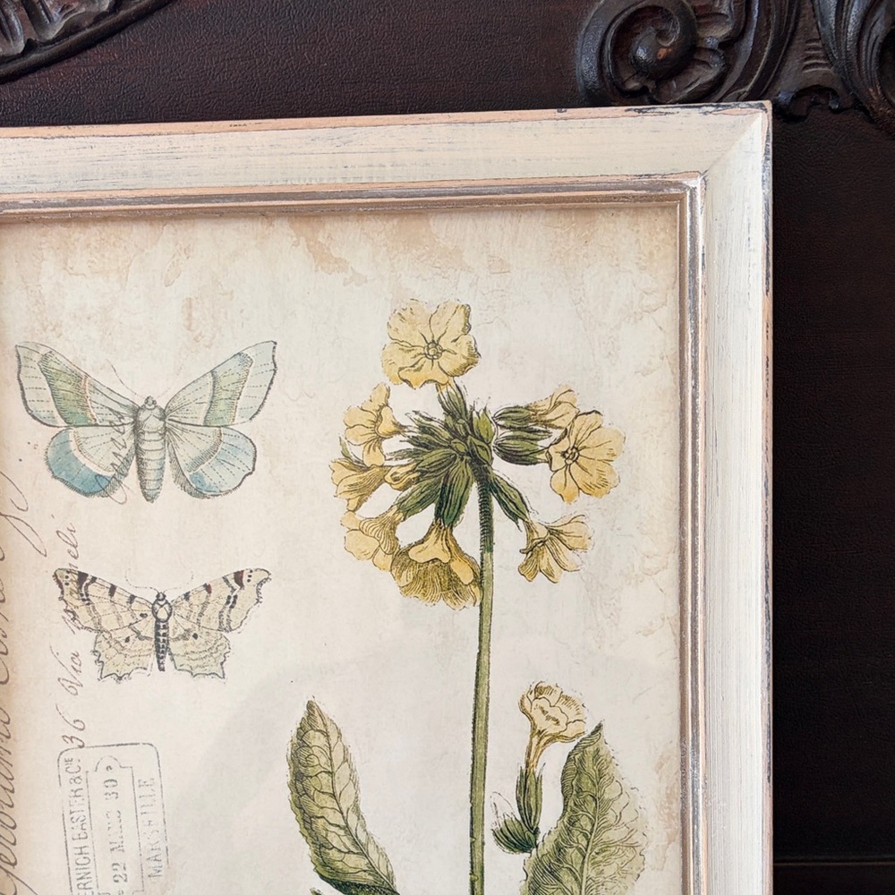 Botanical Print with Butterflies in Wooden Frame - Picture 4 of 6